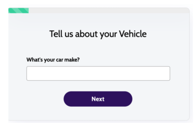 Car Detailing Vehicle Briefing