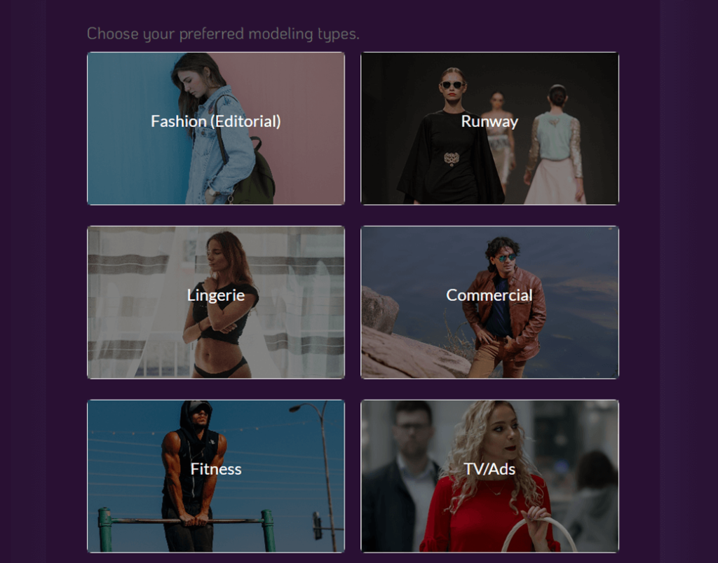 Model application form