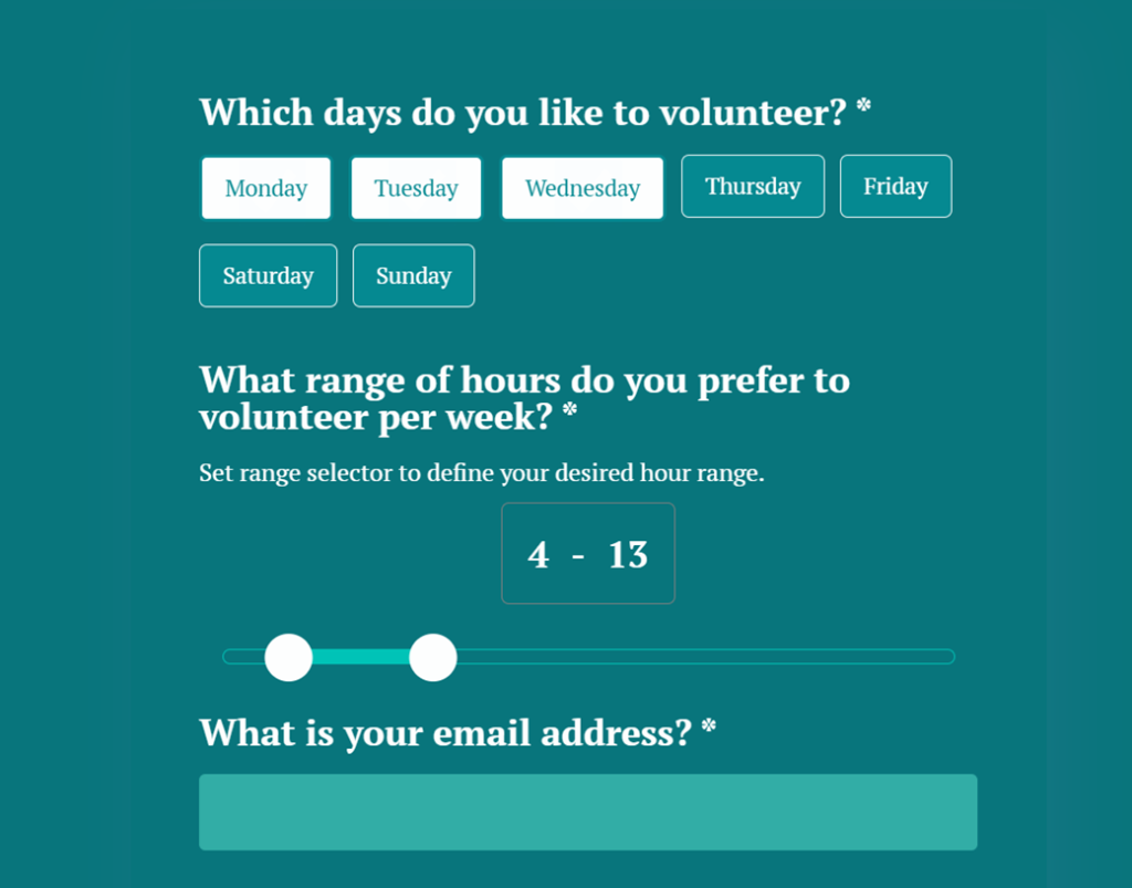 Volunteer Application Form