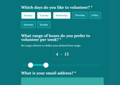 Volunteer Application Form