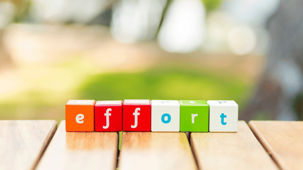 Efforts