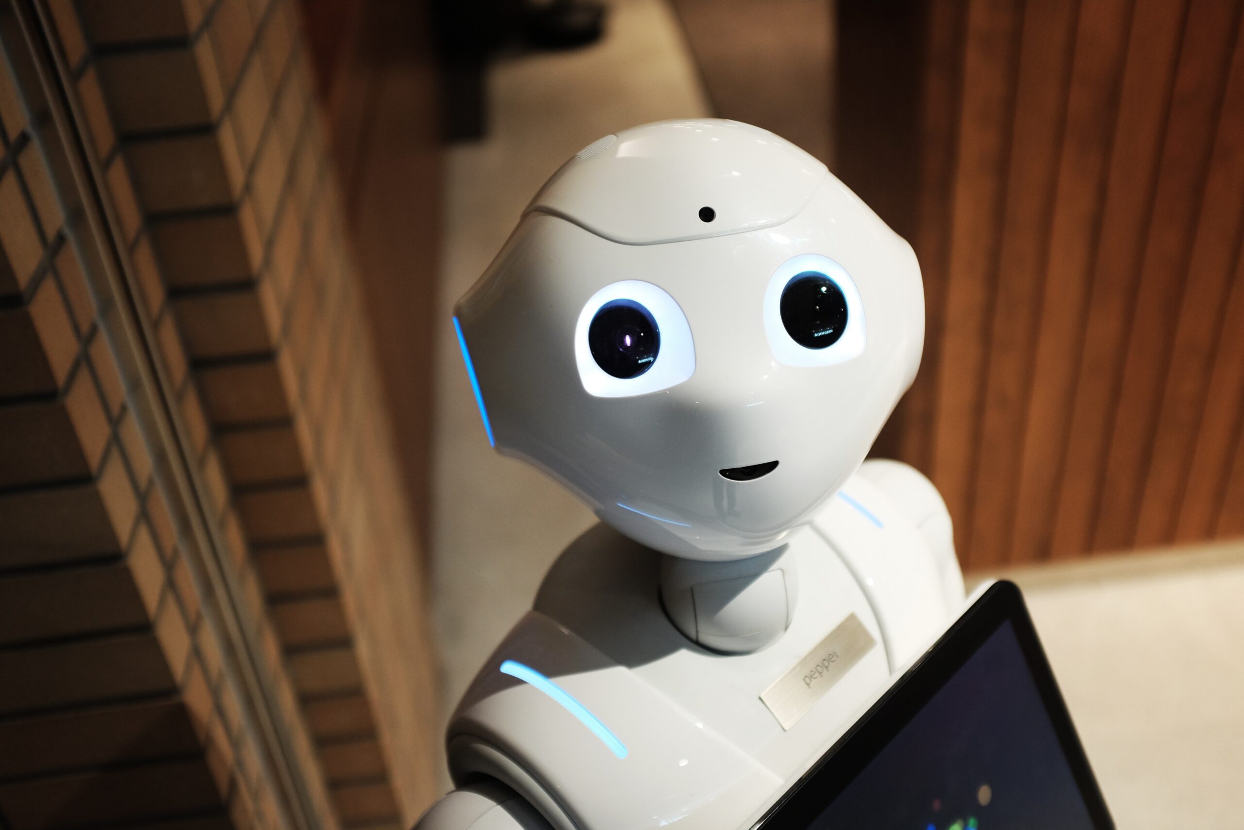 High angle photo of robot