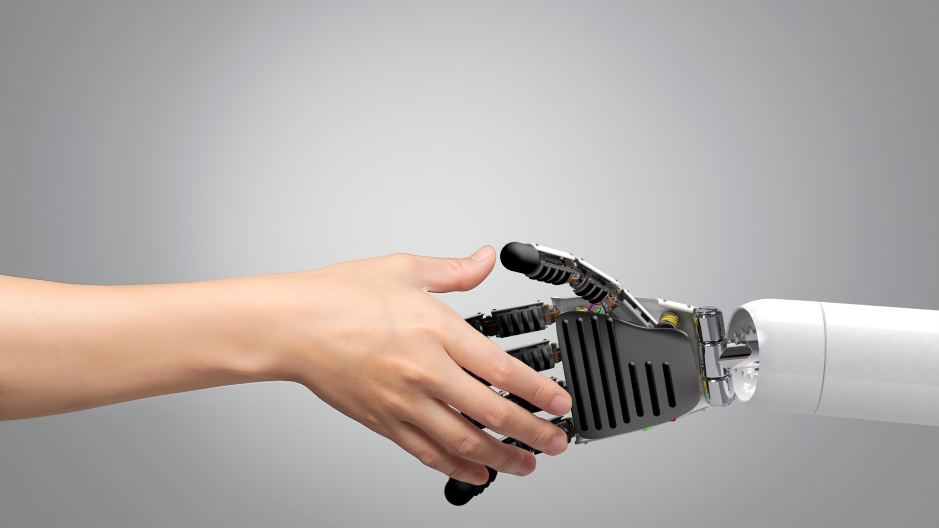 Trust, Privacy, in AI tools